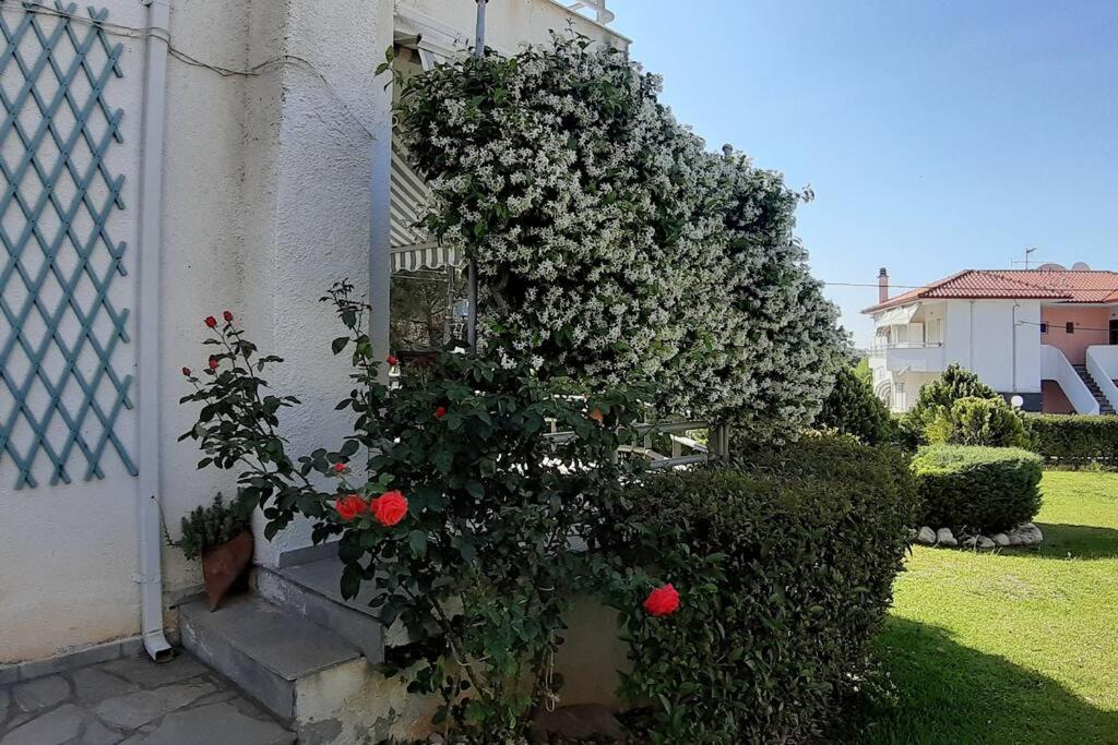 Kleo House Kalives Polygyros Halkidiki Villa Kalyves Polygyrou Exteriör bild